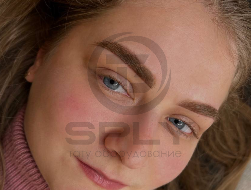 "Теплый русый" пигмент гибридный для бровей Queenmakeup фото 2