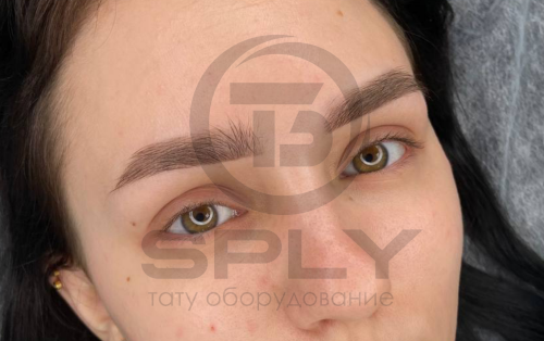 "Русый" пигмент гибридный для бровей Queenmakeup фото 2