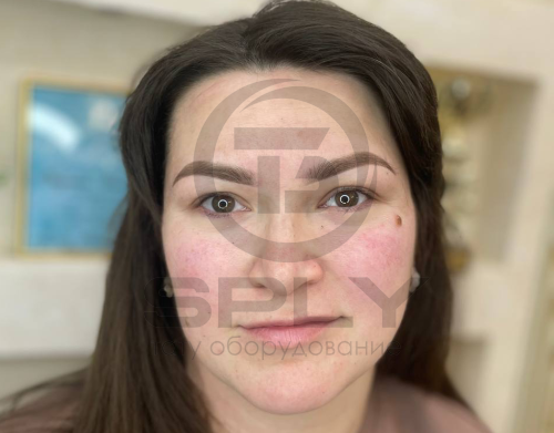 "Брюнет" пигмент гибридный для бровей Queenmakeup фото 3
